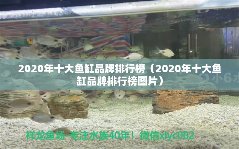 2020年十大魚缸品牌排行榜（2020年十大魚缸品牌排行榜圖片） iwish愛唯希品牌魚缸