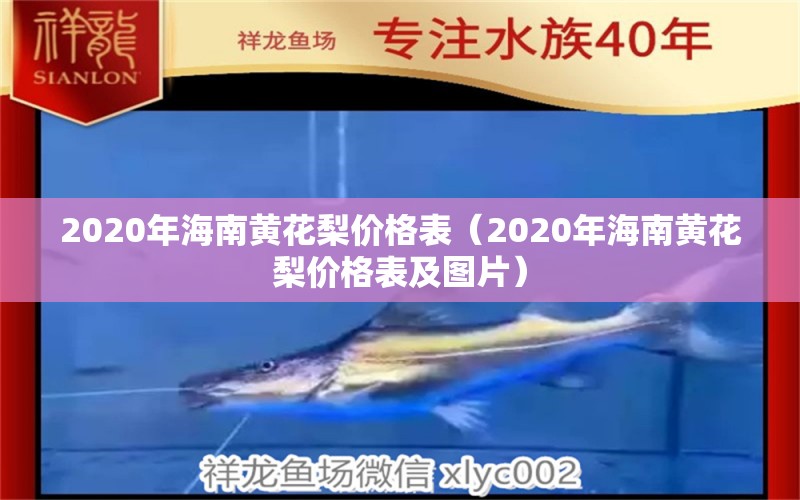 2020年海南黃花梨價格表（2020年海南黃花梨價格表及圖片） 文玩