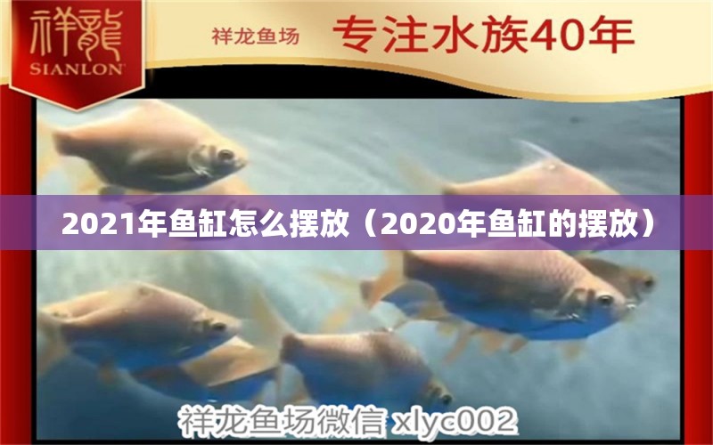 2021年魚缸怎么擺放（2020年魚缸的擺放）