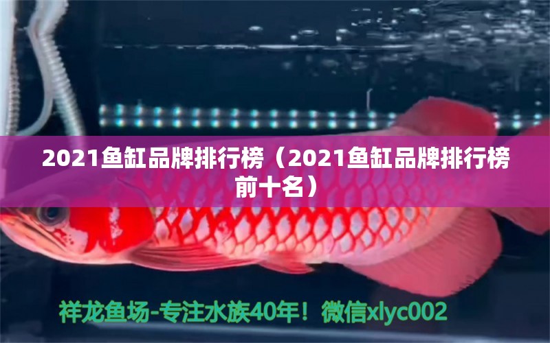 2021魚缸品牌排行榜（2021魚缸品牌排行榜前十名）