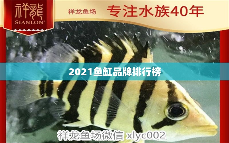 2021魚缸品牌排行榜 祥龍魚場