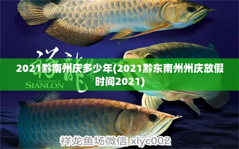 2021黔南州慶多少年(2021黔東南州州慶放假時間2021) 泰國虎魚（泰虎）