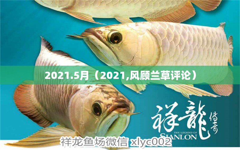 2021.5月（2021,風顧蘭草評論） 觀賞魚論壇 第2張