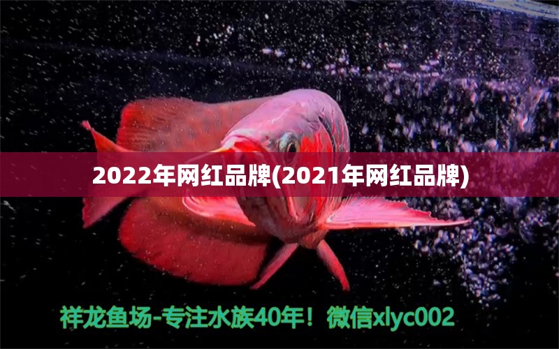 2022年網(wǎng)紅品牌(2021年網(wǎng)紅品牌)