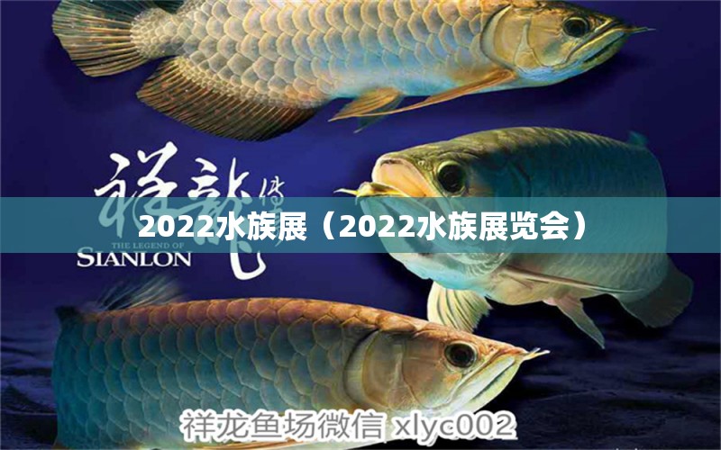 2022水族展（2022水族展覽會）