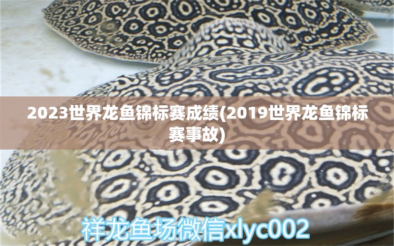 2023世界龍魚錦標賽成績(2019世界龍魚錦標賽事故)