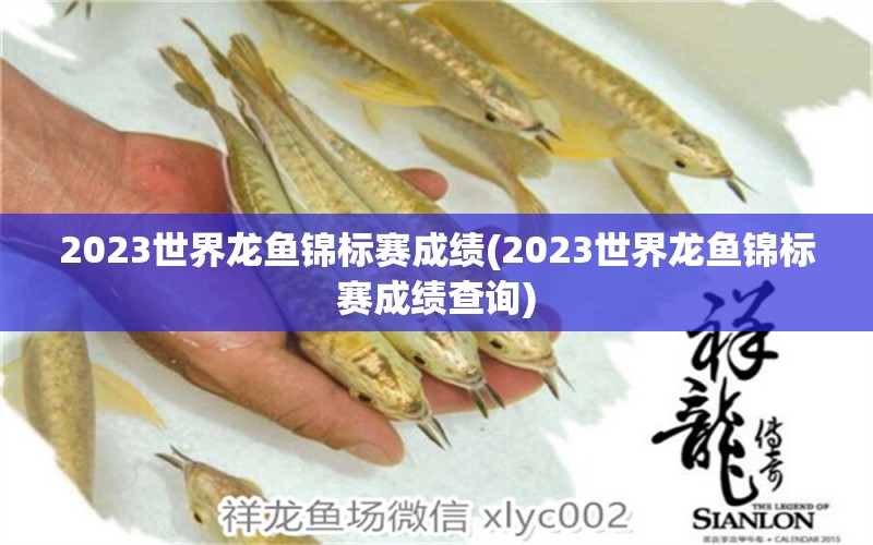 2023世界龍魚錦標賽成績(2023世界龍魚錦標賽成績查詢)