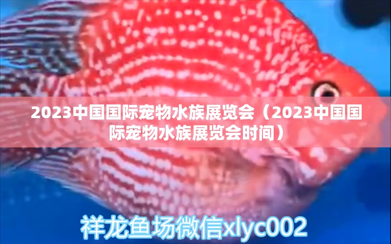 2023中國國際寵物水族展覽會（2023中國國際寵物水族展覽會時間） 水族展會