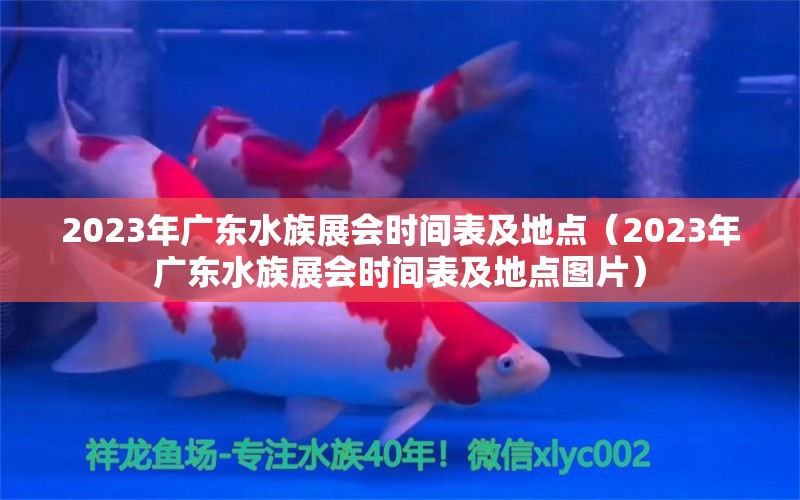 2023年廣東水族展會時(shí)間表及地點(diǎn)（2023年廣東水族展會時(shí)間表及地點(diǎn)圖片） 水族展會