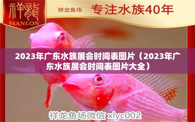 2023年廣東水族展會(huì)時(shí)間表圖片（2023年廣東水族展會(huì)時(shí)間表圖片大全）