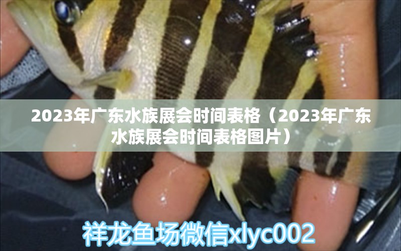 2023年廣東水族展會(huì)時(shí)間表格（2023年廣東水族展會(huì)時(shí)間表格圖片） 水族展會(huì)