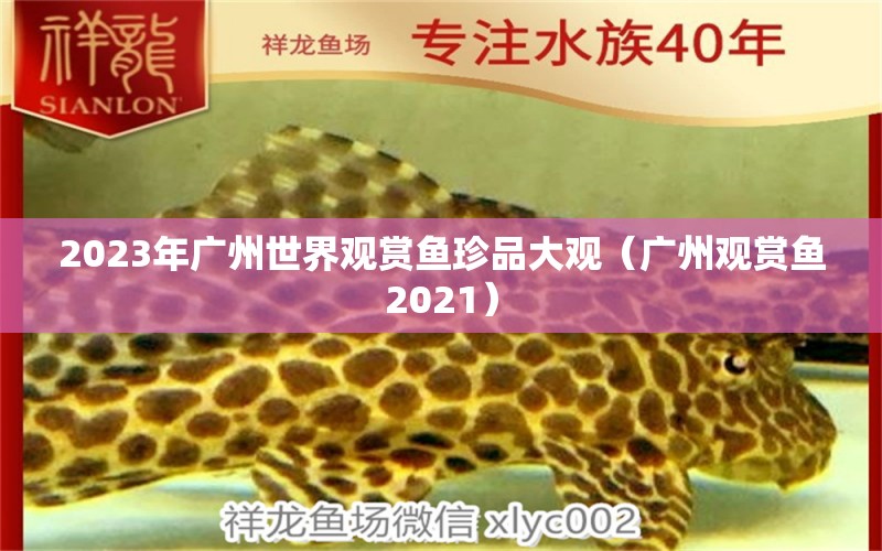 2023年廣州世界觀賞魚(yú)珍品大觀（廣州觀賞魚(yú)2021） 觀賞魚(yú)