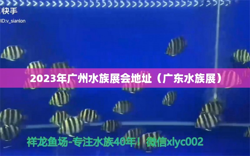 2023年廣州水族展會地址（廣東水族展）