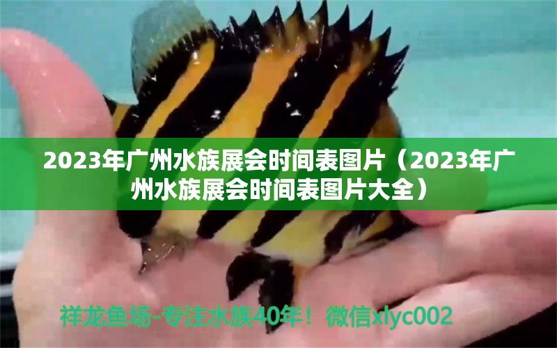 2023年廣州水族展會(huì)時(shí)間表圖片（2023年廣州水族展會(huì)時(shí)間表圖片大全）