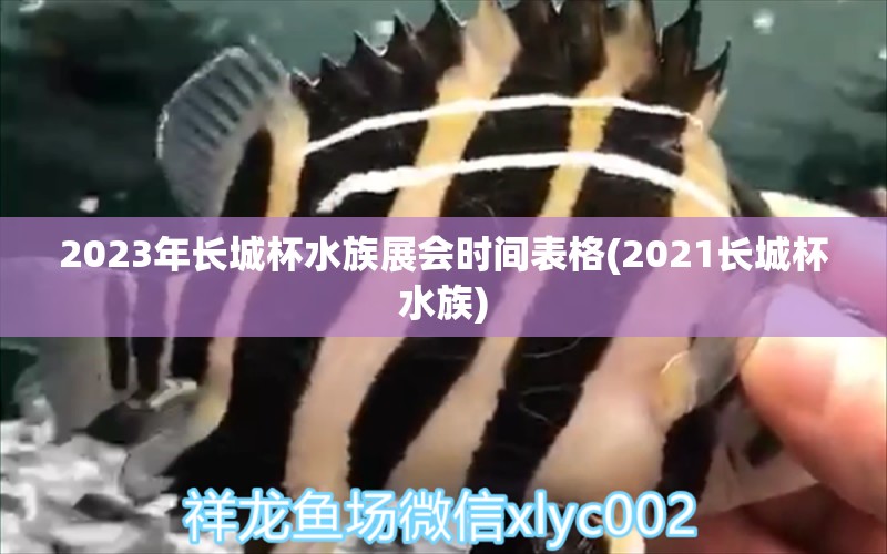 2023年長(zhǎng)城杯水族展會(huì)時(shí)間表格(2021長(zhǎng)城杯水族) 水族展會(huì) 第1張