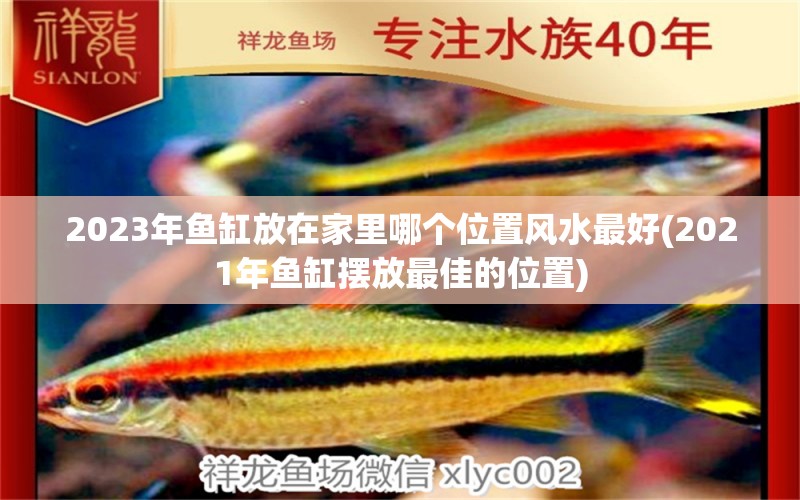 2023年魚缸放在家里哪個(gè)位置風(fēng)水最好(2021年魚缸擺放最佳的位置) 魚缸風(fēng)水 第1張