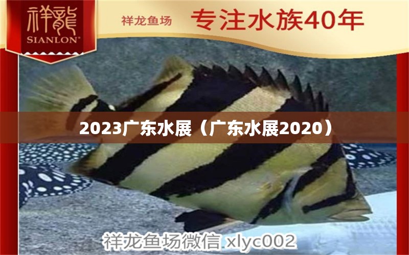 2023廣東水展（廣東水展2020） 觀賞魚