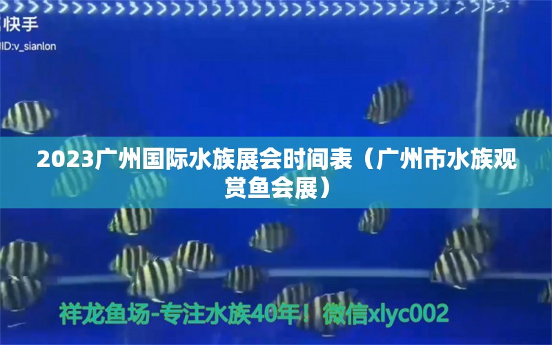 2023廣州國際水族展會時間表（廣州市水族觀賞魚會展）