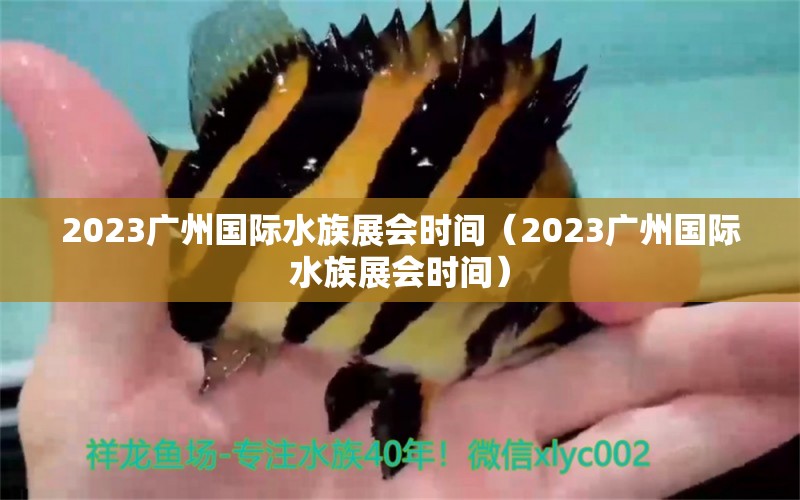 2023廣州國際水族展會時間（2023廣州國際水族展會時間）