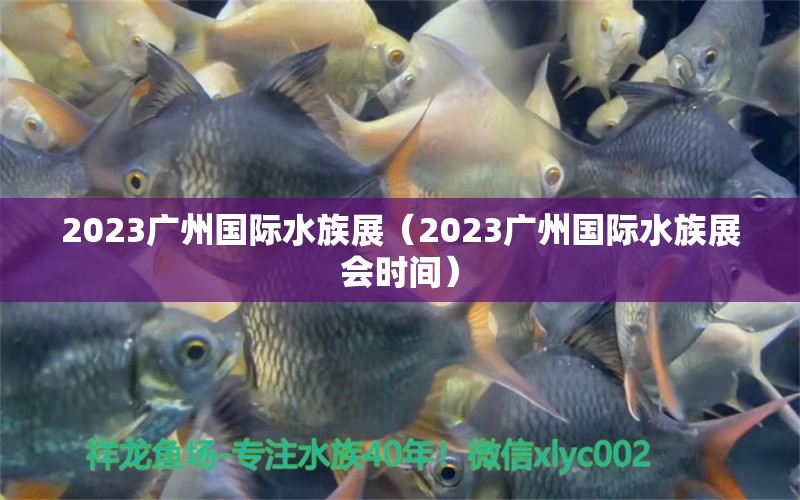 2023廣州國際水族展（2023廣州國際水族展會時間）