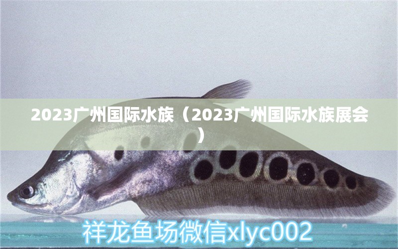 2023廣州國際水族（2023廣州國際水族展會(huì)）