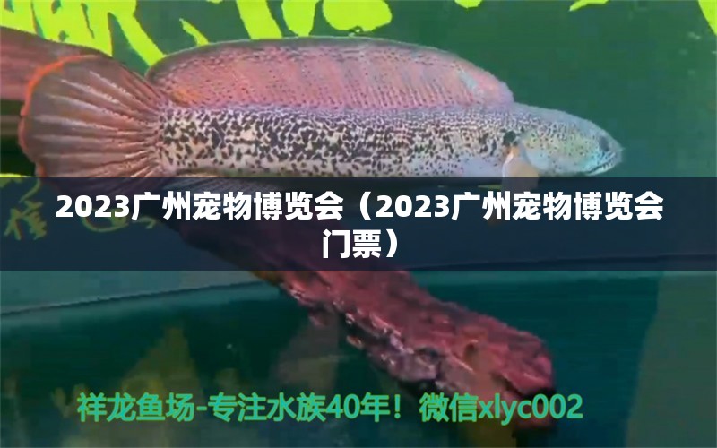 2023廣州寵物博覽會(huì)（2023廣州寵物博覽會(huì)門(mén)票） 廣州水族批發(fā)市場(chǎng)