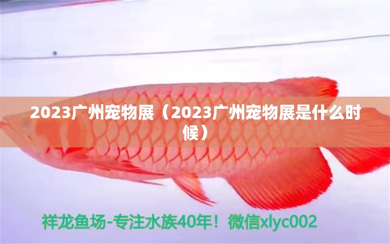 2023廣州寵物展（2023廣州寵物展是什么時(shí)候） 廣州水族批發(fā)市場