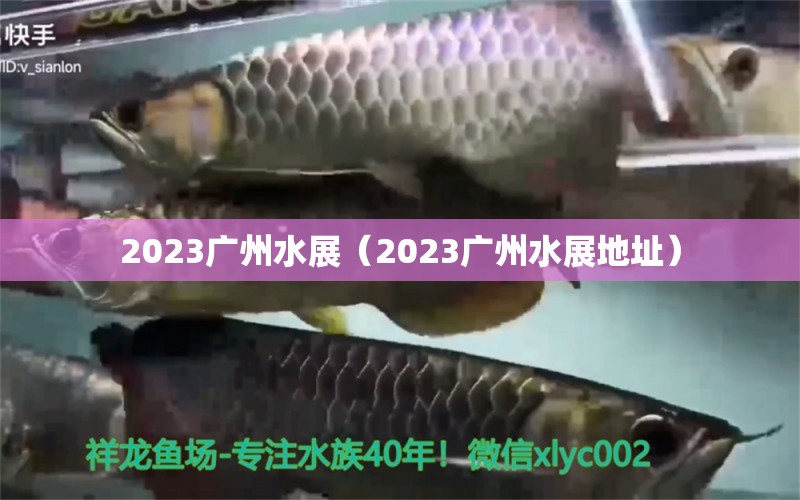 2023廣州水展（2023廣州水展地址）