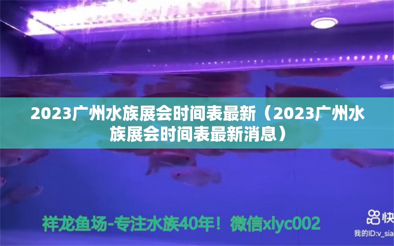 2023廣州水族展會時間表最新（2023廣州水族展會時間表最新消息） 水族展會