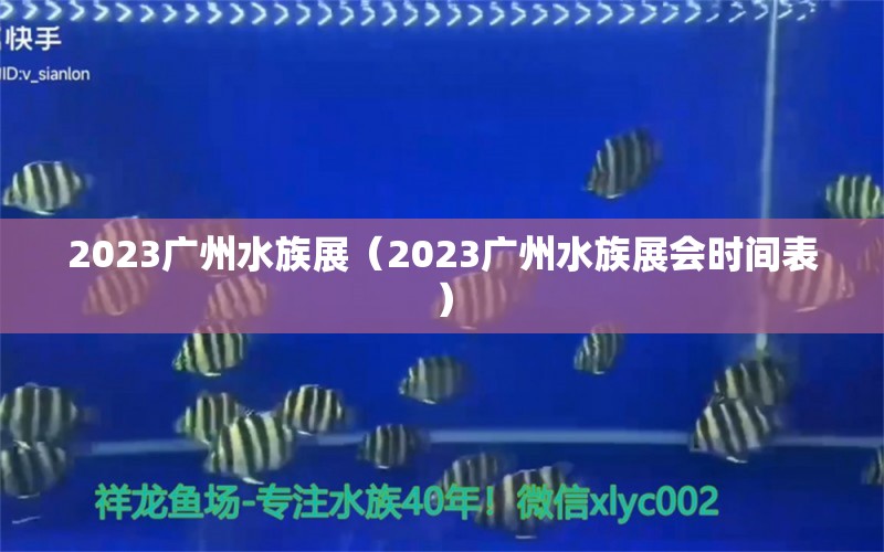 2023廣州水族展（2023廣州水族展會(huì)時(shí)間表）