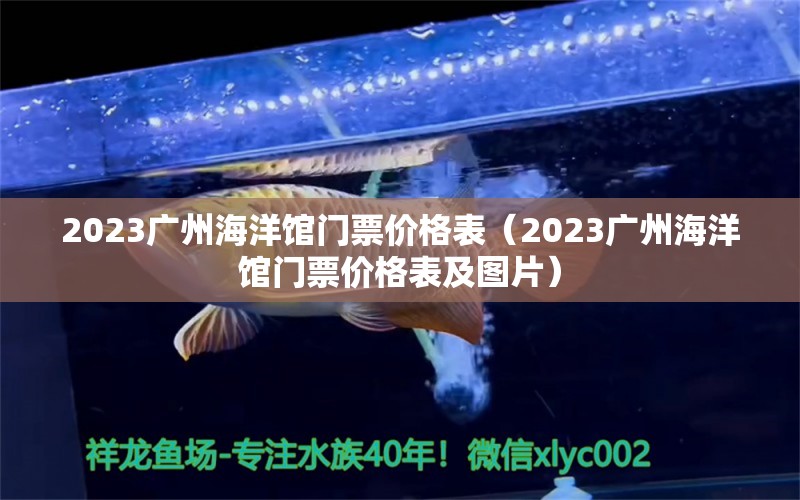 2023廣州海洋館門票價(jià)格表（2023廣州海洋館門票價(jià)格表及圖片） 廣州水族批發(fā)市場