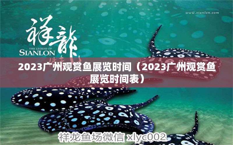 2023廣州觀賞魚展覽時間（2023廣州觀賞魚展覽時間表）