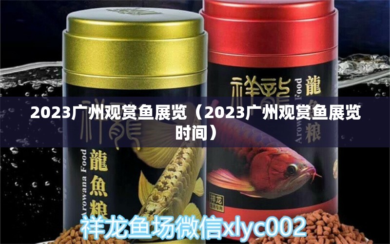 2023廣州觀賞魚展覽（2023廣州觀賞魚展覽時間）