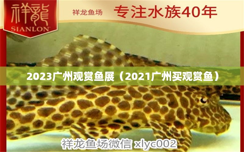 2023廣州觀賞魚展（2021廣州買觀賞魚）