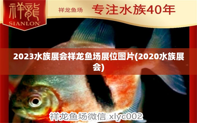 2023水族展會(huì)祥龍魚場(chǎng)展位圖片(2020水族展會(huì)) 水族展會(huì)