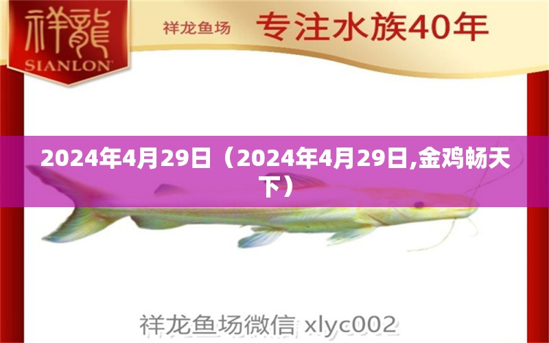 2024年4月29日（2024年4月29日,金雞暢天下） 觀賞魚論壇 第2張