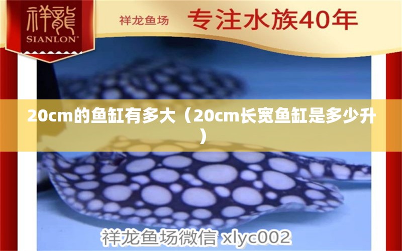 20cm的魚缸有多大（20cm長(zhǎng)寬魚缸是多少升） 其他品牌魚缸