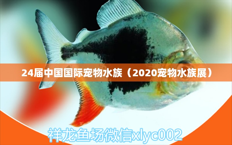 24屆中國(guó)國(guó)際寵物水族（2020寵物水族展）