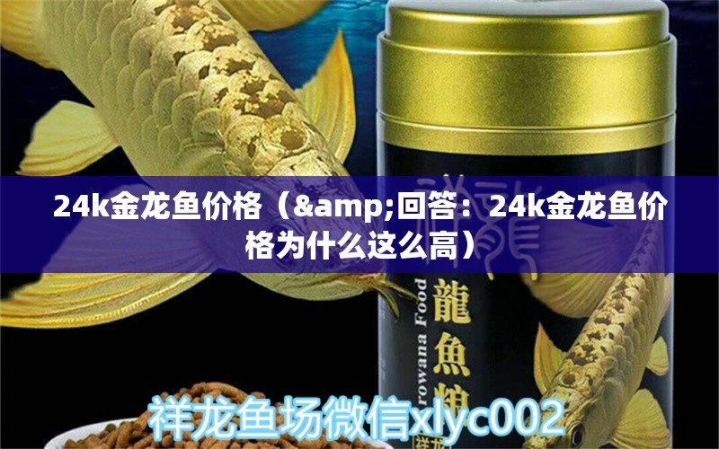 24k金龍魚(yú)價(jià)格（&回答：24k金龍魚(yú)價(jià)格為什么這么高） 水族問(wèn)答 第2張