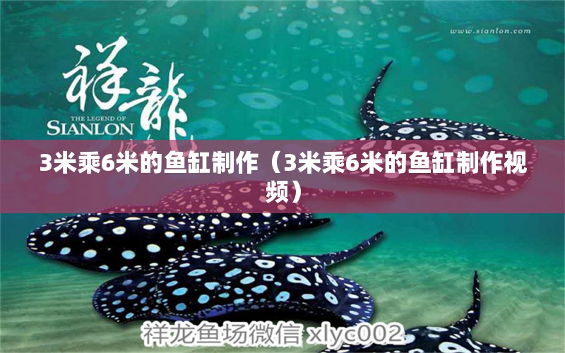 3米乘6米的魚(yú)缸制作（3米乘6米的魚(yú)缸制作視頻）