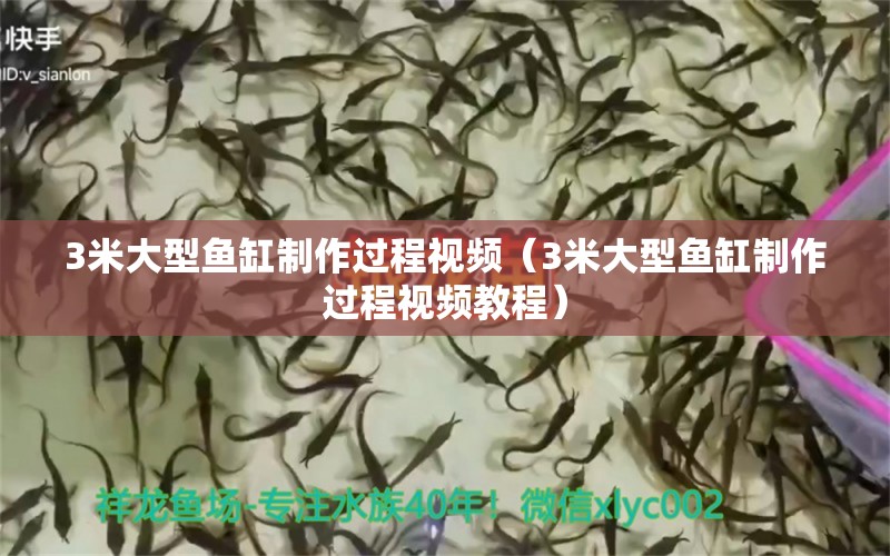 3米大型魚缸制作過程視頻（3米大型魚缸制作過程視頻教程）