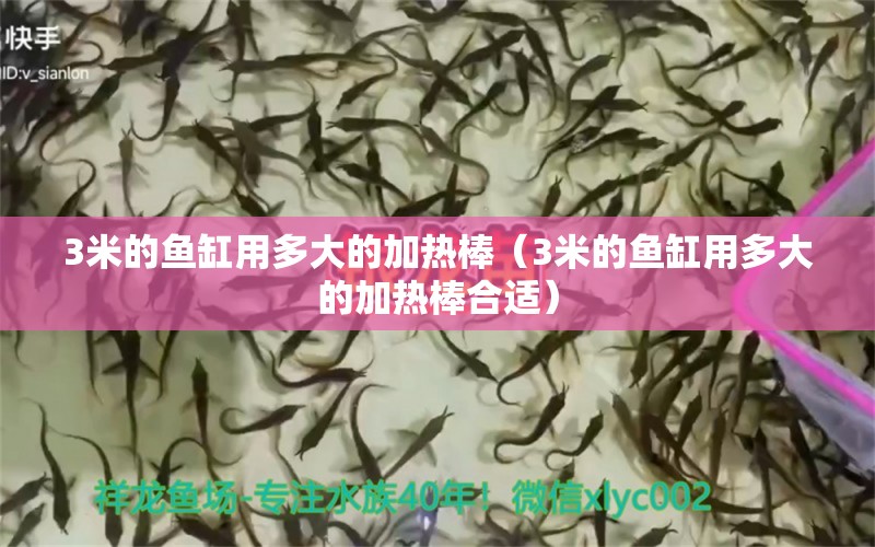 3米的魚缸用多大的加熱棒（3米的魚缸用多大的加熱棒合適） 魚缸百科