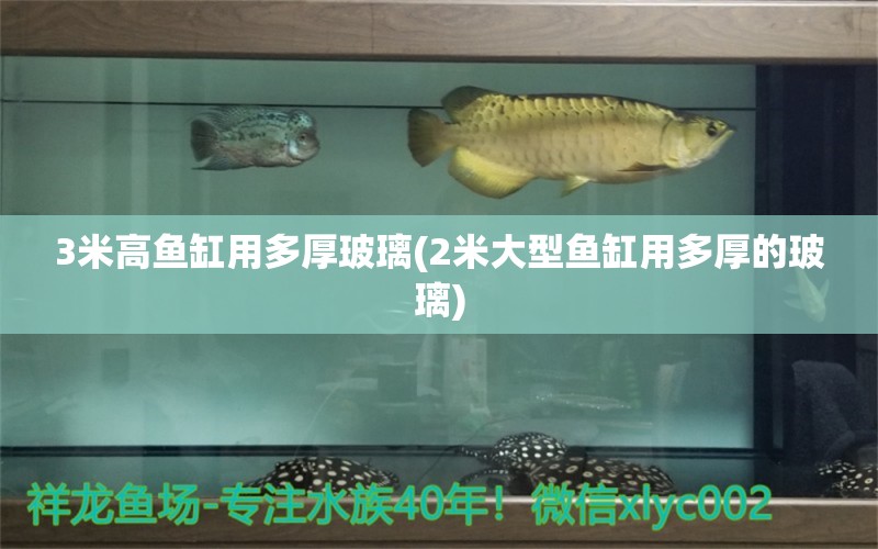 3米高魚(yú)缸用多厚玻璃(2米大型魚(yú)缸用多厚的玻璃) 黑云魚(yú)