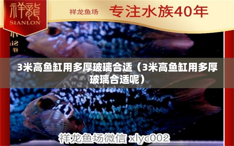 3米高魚缸用多厚玻璃合適（3米高魚缸用多厚玻璃合適呢）