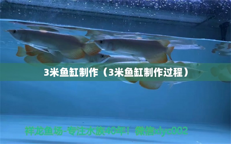 3米魚缸制作（3米魚缸制作過程） 其他品牌魚缸