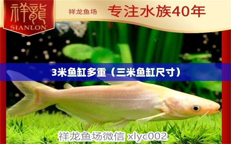 3米魚缸多重（三米魚缸尺寸）