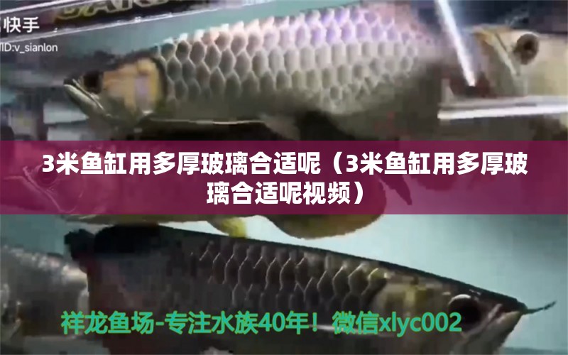 3米魚缸用多厚玻璃合適呢（3米魚缸用多厚玻璃合適呢視頻） 魚缸百科