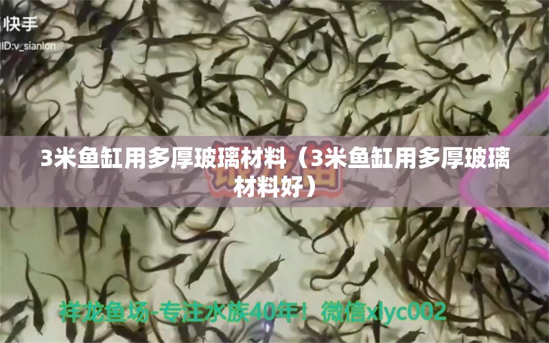 3米魚缸用多厚玻璃材料（3米魚缸用多厚玻璃材料好） 魚缸百科