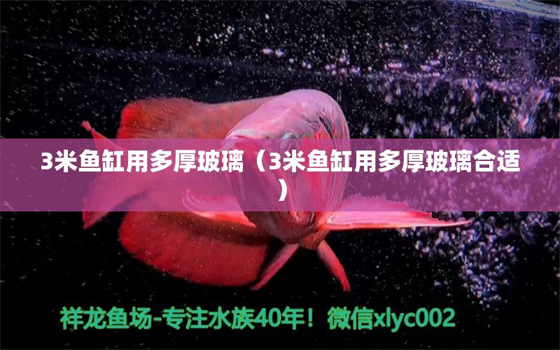 3米魚缸用多厚玻璃（3米魚缸用多厚玻璃合適）