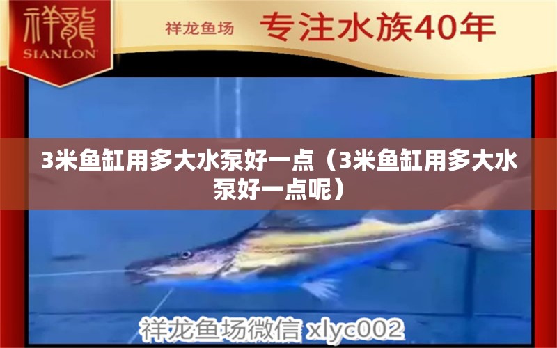 3米魚缸用多大水泵好一點(diǎn)（3米魚缸用多大水泵好一點(diǎn)呢）